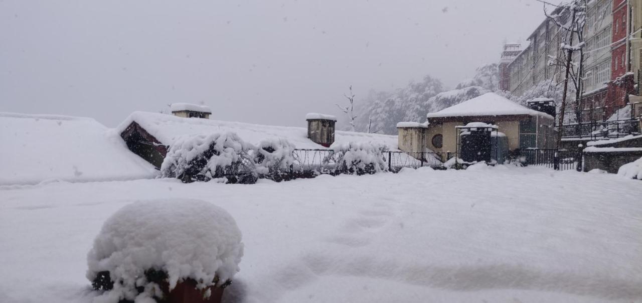 The Thistle Lodge Shimla Extérieur photo